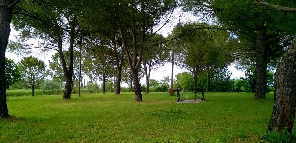 Agriturismo Podere Caggiolo - Swimming Pool & Air Conditioning Marciano della Chiana Dış mekan fotoğraf